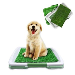 Urinario Para Mascotas